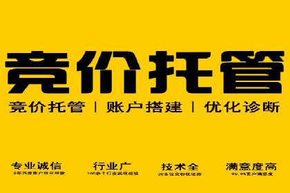 竞价广告的投放策略与网络推广的实践案例